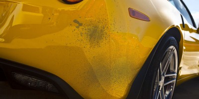 Paint over-spray removal detailing